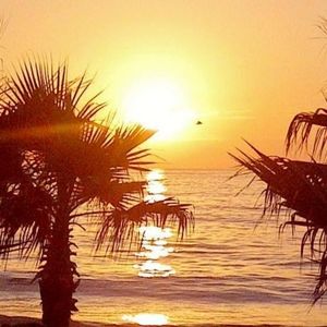 Make me an offer for Spring & Summer SALE